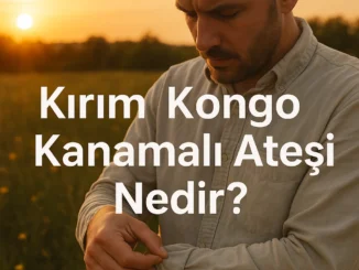 Kırım Kongo Kanamalı Ateşi Nedir? - KamuHaber