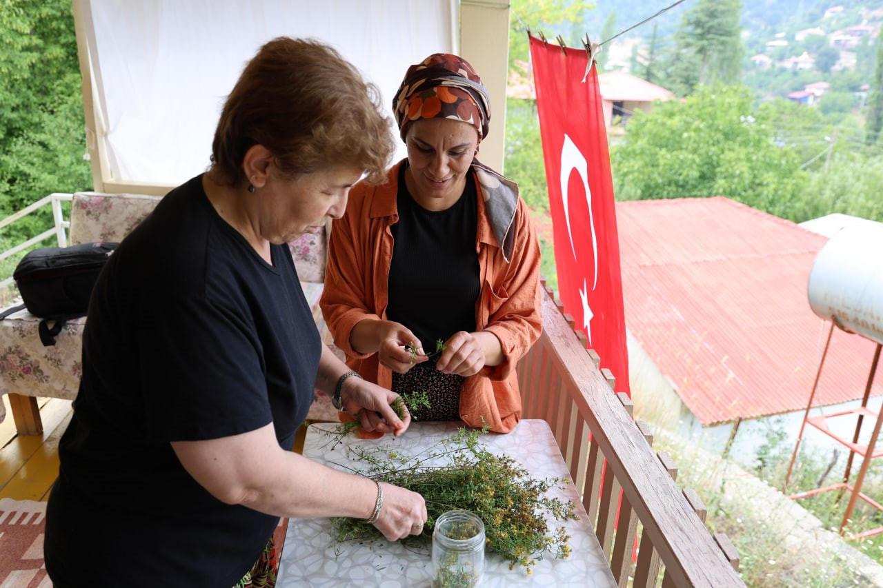 Kantaron: Köyün Şifa Doktoru