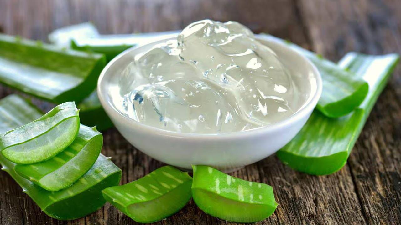 Aloe Vera: Doğanın Mucizesi