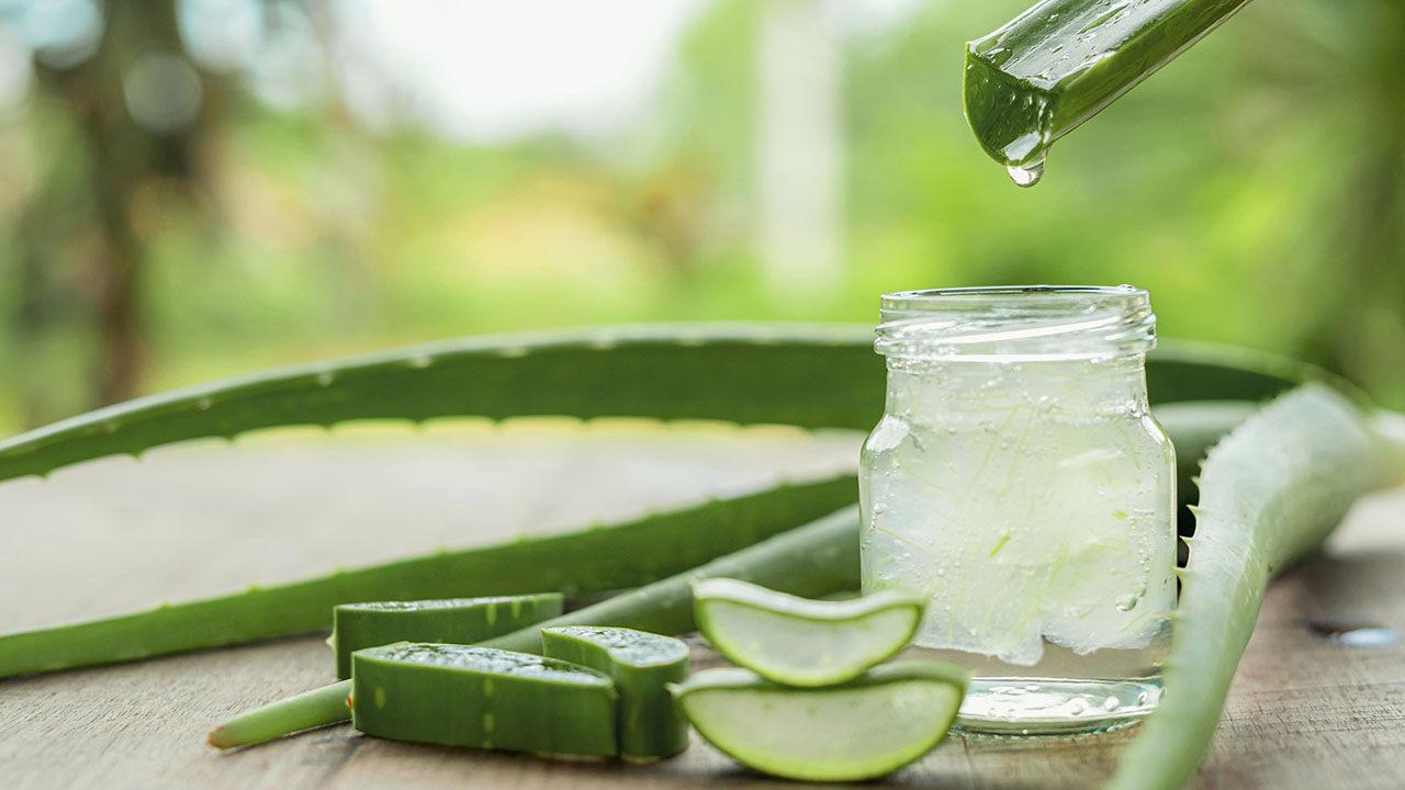 Aloe Vera: Doğanın Mucizesi ve Faydaları