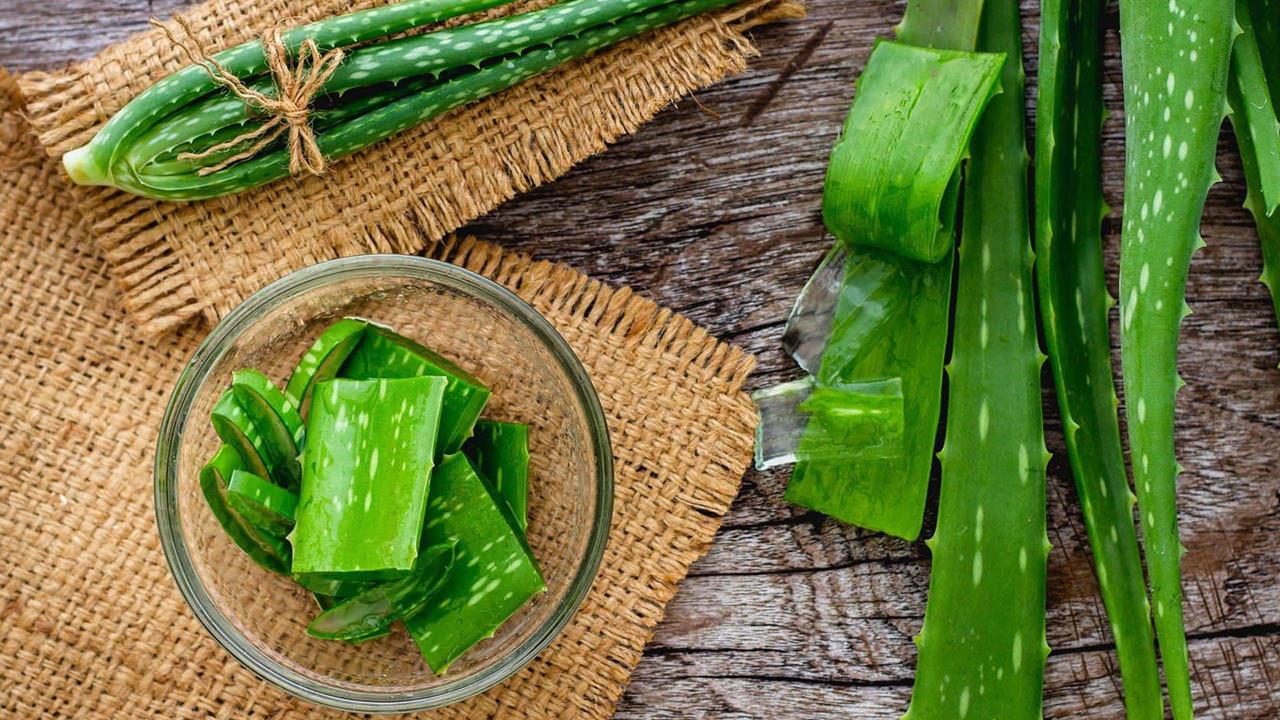 Aloe Vera: Doğanın Mucizesi ve Faydaları