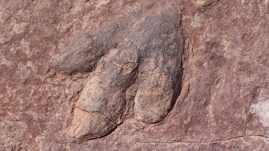 Dinozorların Tarihine Işık Tutan Yeni Araştırma
