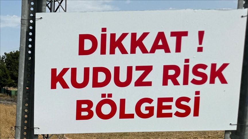 5. Uluslararası Aşı Bilimi Kongresi'nde Kuduz Hastalığı Değerlendirildi